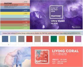 汕頭益佳軟件 以卓越產品與專業服務，賦能全球電商生態